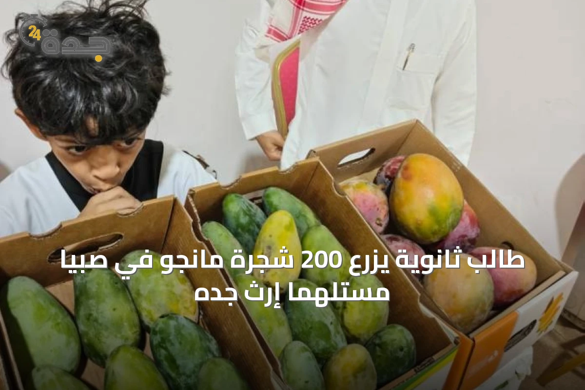 طالب ثانوية يزرع 200 شجرة مانجو في صبيا مستلهماً إرث جده