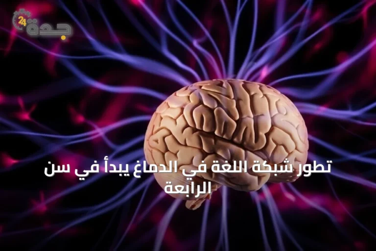 تطور شبكة اللغة في الدماغ يبدأ في سن الرابعة