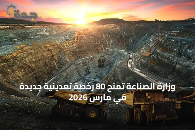 وزارة الصناعة تمنح 80 رخصة تعدينية جديدة في مارس 2026