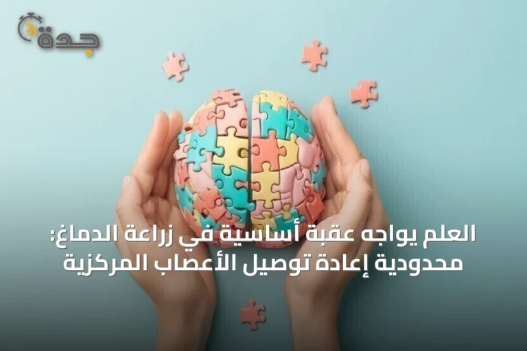 العلم يواجه عقبةً أساسية في زراعة الدماغ: محدودية إعادة توصيل الأعصاب المركزية