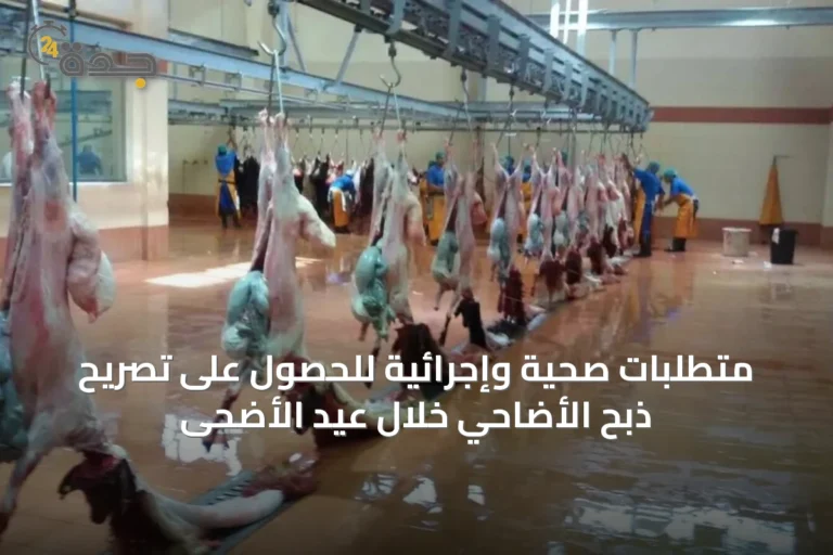 متطلبات صحية وإجرائية للحصول على تصريح ذبح الأضاحي خلال عيد الأضحى