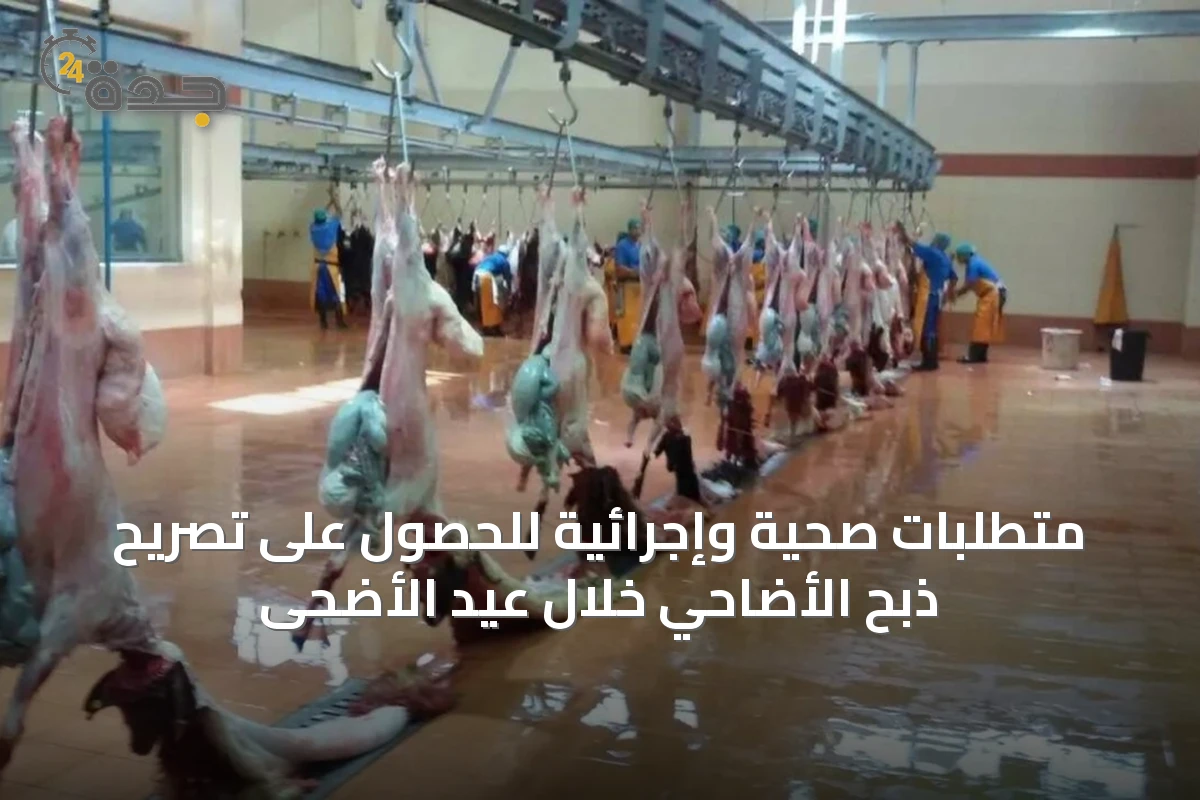 متطلبات صحية وإجرائية للحصول على تصريح ذبح الأضاحي خلال عيد الأضحى