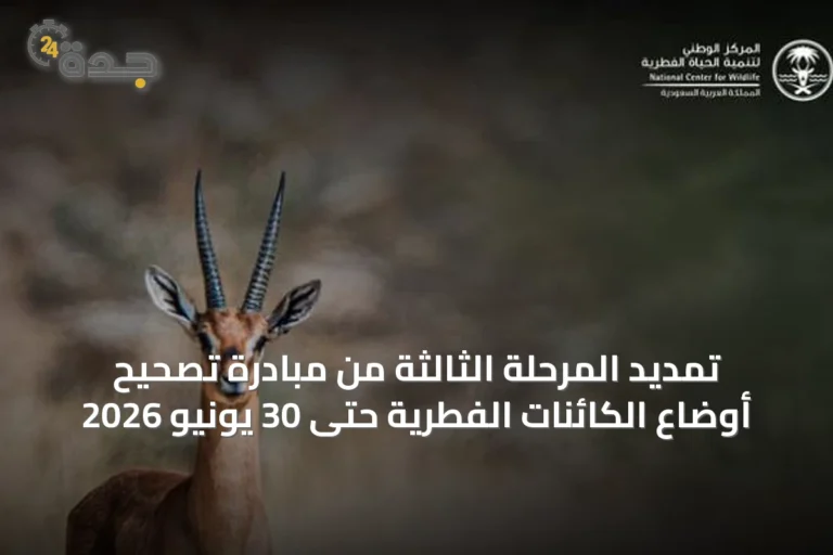 تمديد المرحلة الثالثة من مبادرة تصحيح أوضاع الكائنات الفطرية حتى 30 يونيو 2026