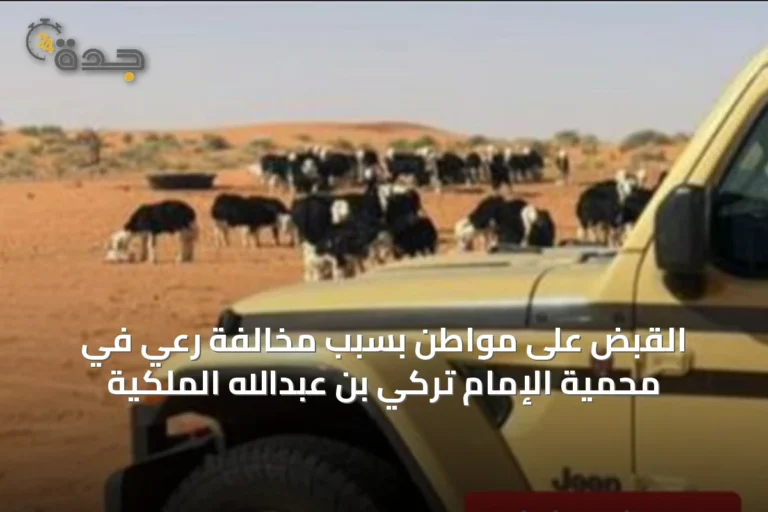 القبض على مواطن بسبب مخالفة رعي في محمية الإمام تركي بن عبدالله الملكية