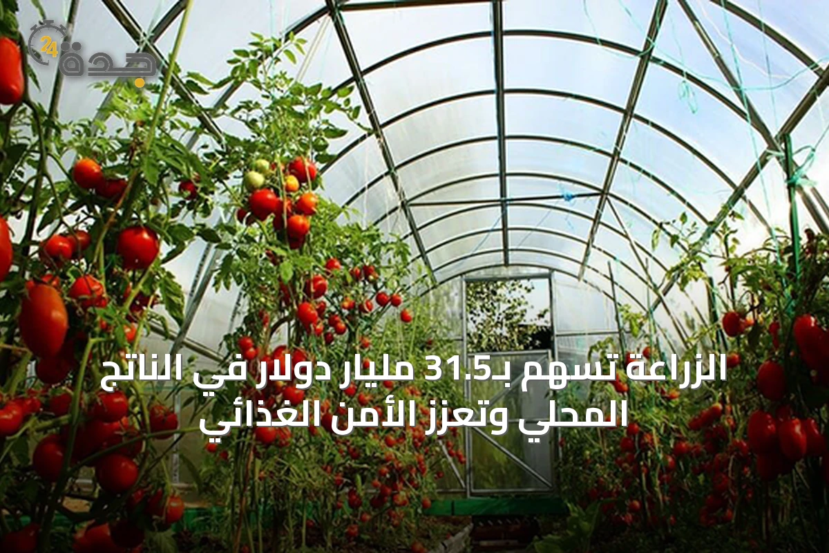 الزراعة تسهم بـ31.5 مليار دولار في الناتج المحلي وتعزز الأمن الغذائي