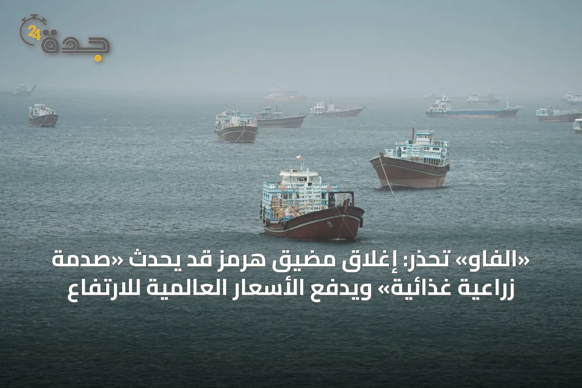 «الفاو» تحذر: إغلاق مضيق هرمز قد يُحدث «صدمة زراعية غذائية» ويدفع الأسعار العالمية للارتفاع