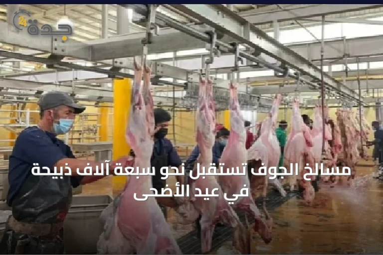 مسالخ الجوف تستقبل نحو سبعة آلاف ذبيحة في عيد الأضحى