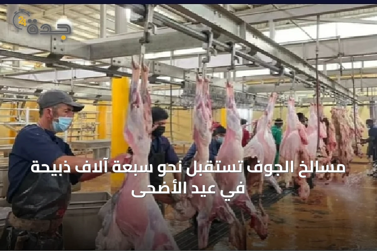 مسالخ الجوف تستقبل نحو سبعة آلاف ذبيحة في عيد الأضحى
