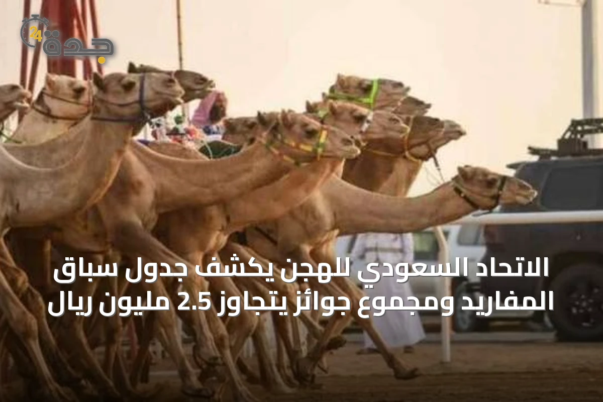 الاتحاد السعودي للهجن يكشف جدول سباق المفاريد ومجموع جوائز يتجاوز 2.5 مليون ريال