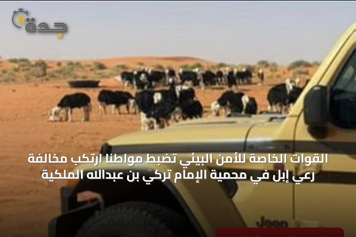 القوات الخاصة للأمن البيئي تضبط مواطنًا ارتكب مخالفة رعي إبل في محمية الإمام تركي بن عبدالله الملكية
