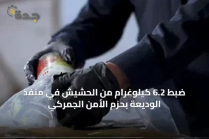 ضبط 6.2 كيلوغرام من الحشيش في منفذ الوديعة بحزم الأمن الجمركي 2 article 30246