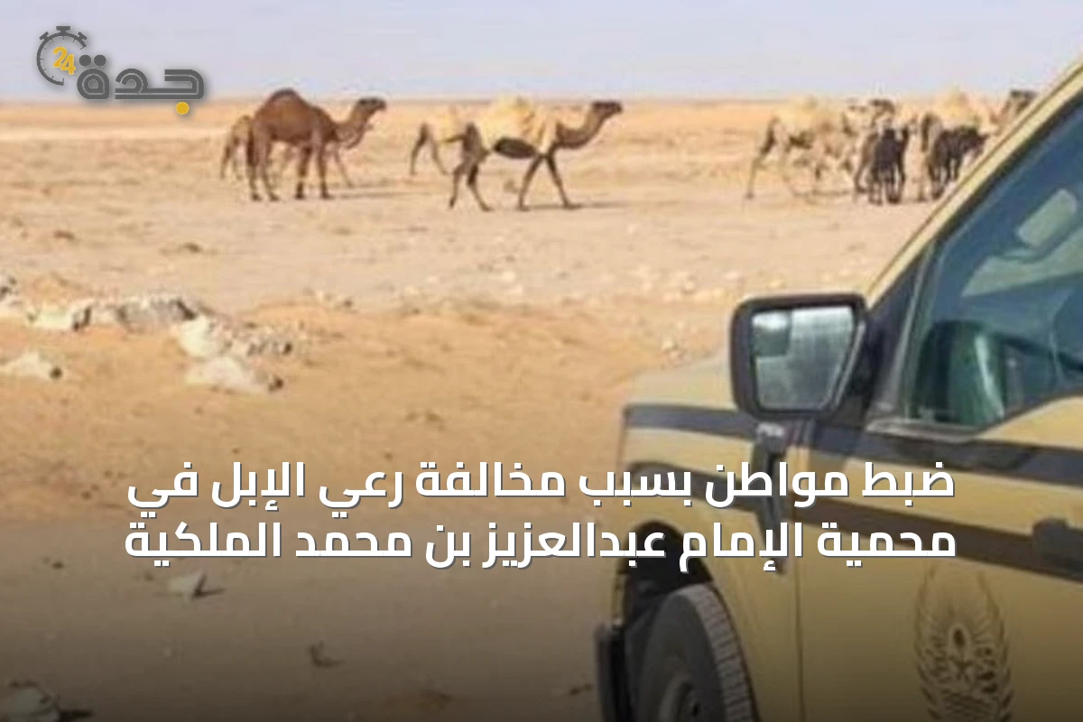 ضبط مواطن بسبب مخالفة رعي الإبل في محمية الإمام عبدالعزيز بن محمد الملكية