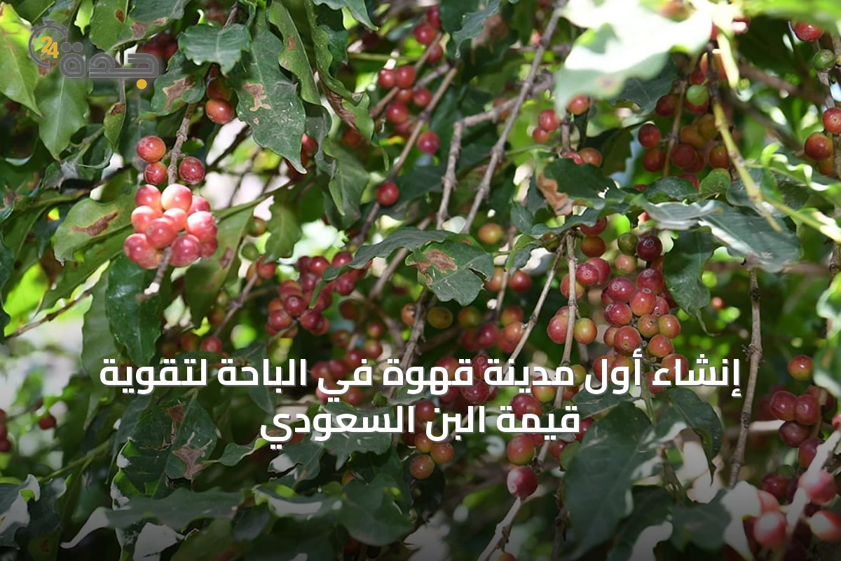 إنشاء أول مدينة قهوة في الباحة لتقوية قيمة البن السعودي