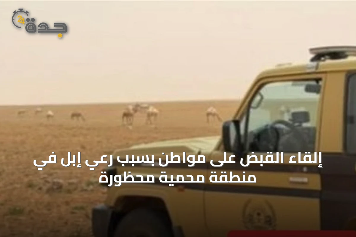 إلقاء القبض على مواطن بسبب رعي إبل في منطقة محمية محظورة