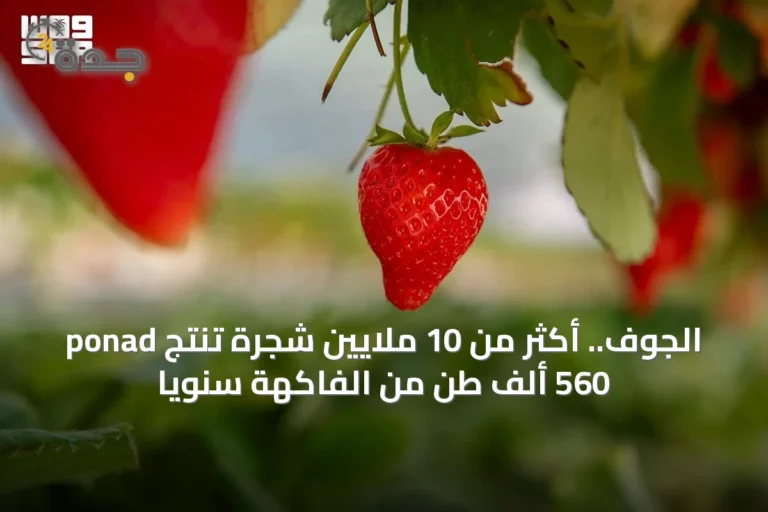 الجوف.. أكثر من 10 ملايين شجرة تُنتج ponad 560 ألف طن من الفاكهة سنوياً
