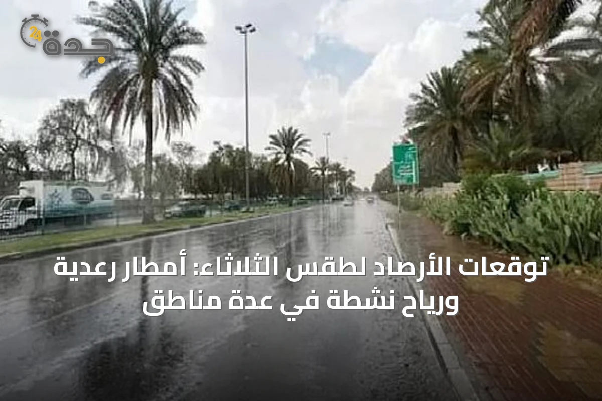 توقعات الأرصاد لطقس الثلاثاء: أمطار رعدية ورياح نشطة في عدة مناطق
