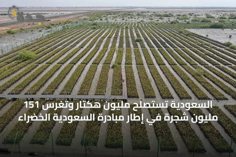السعودية تستصلح مليون هكتار وتغرس 151 مليون شجرة في إطار مبادرة السعودية الخضراء