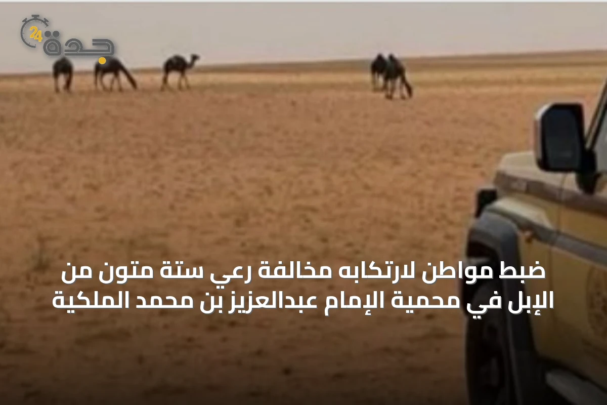 ضبط مواطن لارتكابه مخالفة رعي ستة متون من الإبل في محمية الإمام عبدالعزيز بن محمد الملكية