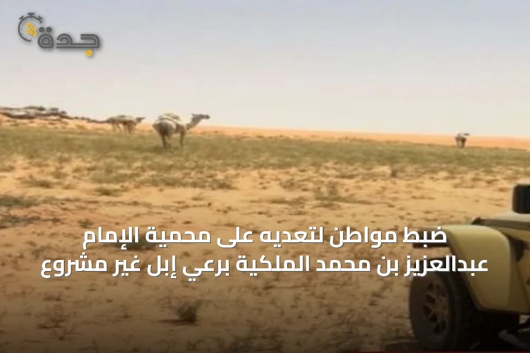 ضبط مواطن لتعديه على محمية الإمام عبدالعزيز بن محمد الملكية برعي إبل غير مشروع