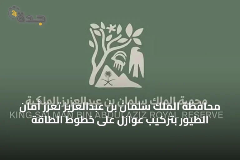محافظة الملك سلمان بن عبدالعزيز تُعزّز أمان الطيور بتركيب عوازل على خطوط الطاقة