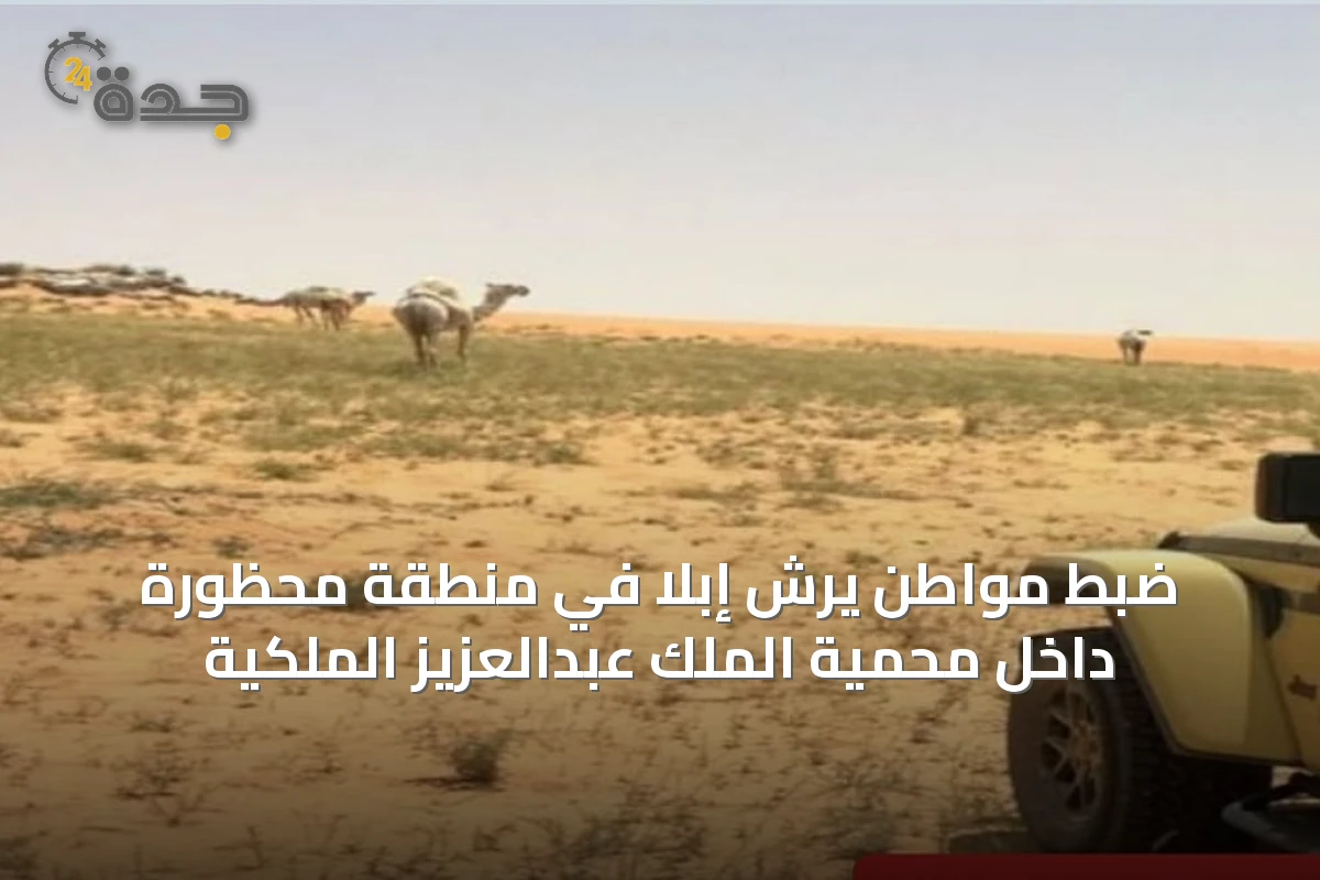 ضبط مواطن يرشّ إبلًا في منطقة محظورة داخل محمية الملك عبدالعزيز الملكية
