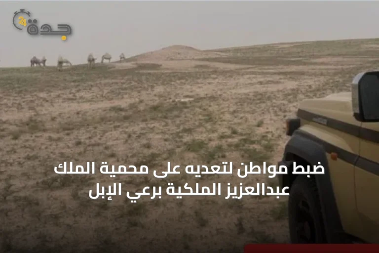 ضبط مواطن لتعديه على محمية الملك عبدالعزيز الملكية برعي الإبل
