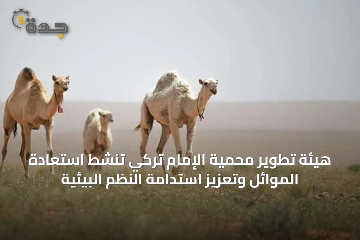 هيئة تطوير محمية الإمام تركي تنشط استعادة الموائل وتعزيز استدامة النظم البيئية