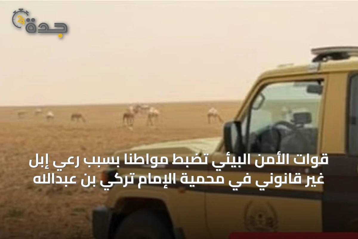 قوات الأمن البيئي تضبط مواطنًا بسبب رعي إبل غير قانوني في محمية الإمام تركي بن عبدالله