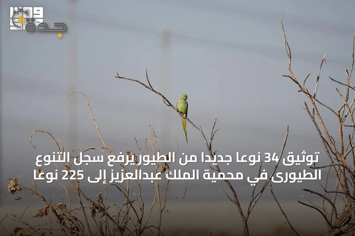 توثيق 34 نوعًا جديدًا من الطيور يرفع سجل التنوع الطيورى في محمية الملك عبدالعزيز إلى 225 نوعًا