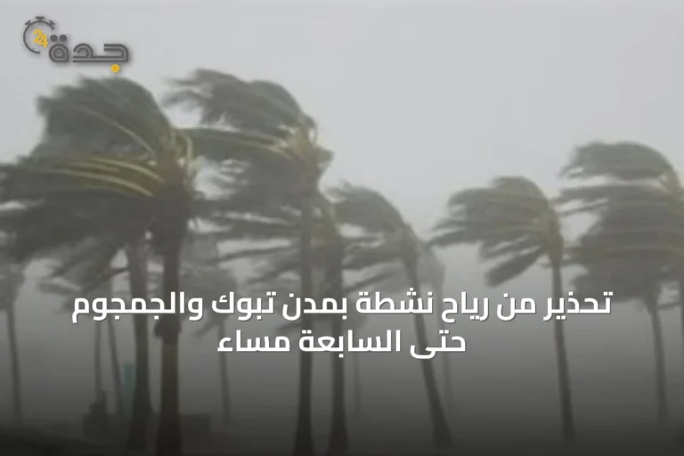 تحذير من رياح نشطة بمدن تبوك والجمجوم حتى السابعة مساءً