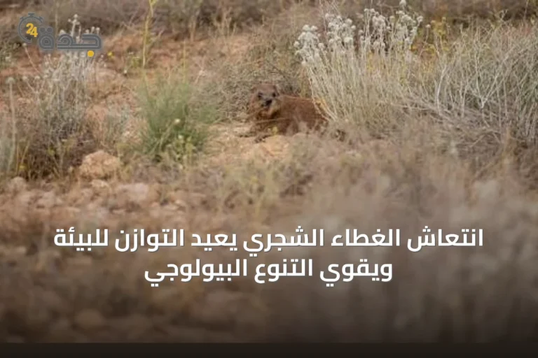 انتعاش الغطاء الشجري يعيد التوازن للبيئة ويقوي التنوع البيولوجي