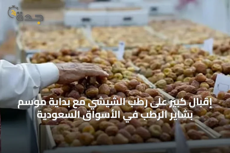 إقبال كبير على رطب الشيشي مع بداية موسم بشاير الرطب في الأسواق السعودية