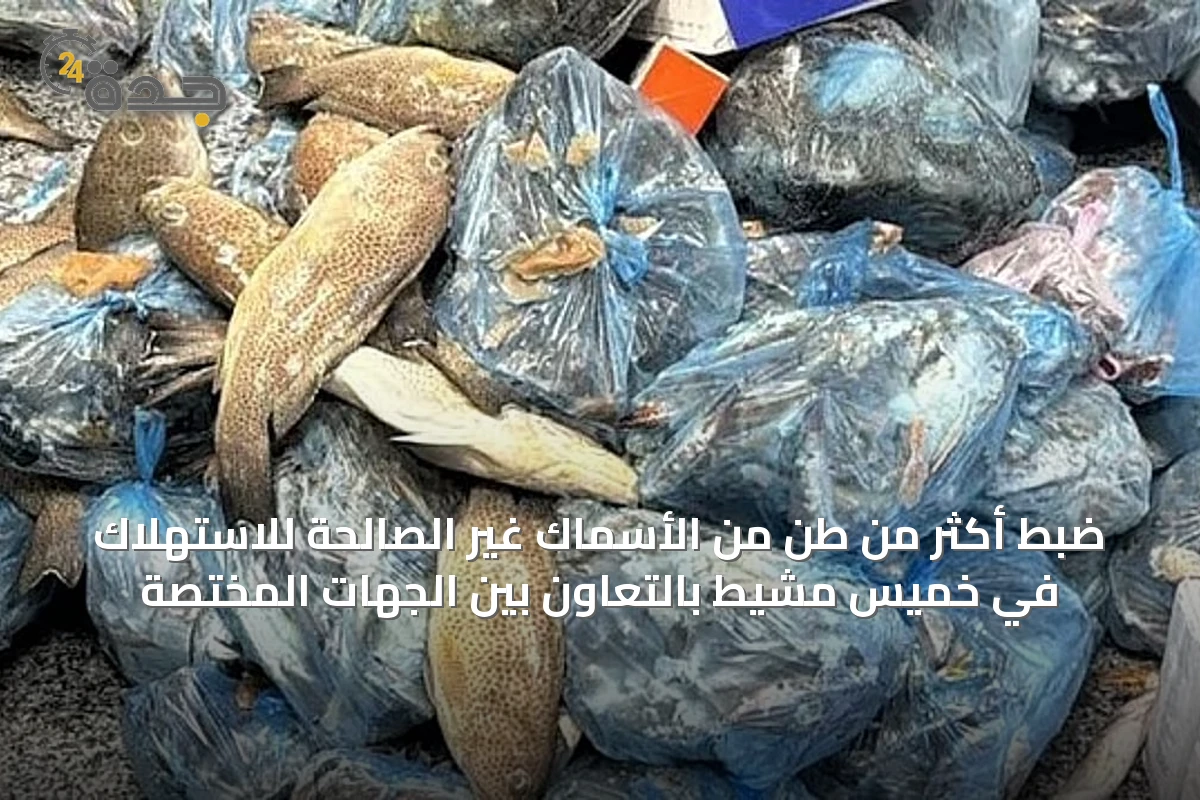 ضبط أكثر من طن من الأسماك غير الصالحة للاستهلاك في خميس مشيط بالتعاون بين الجهات المختصة