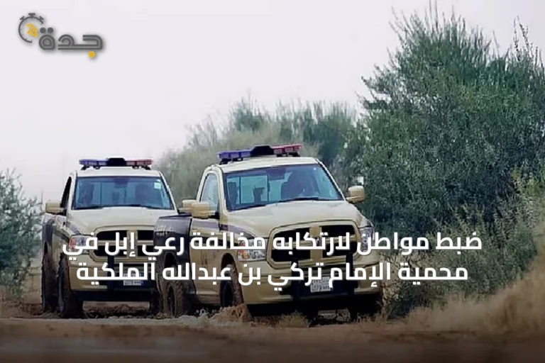 ضبط مواطن لارتكابه مخالفة رعي إبل في محمية الإمام تركي بن عبدالله الملكية