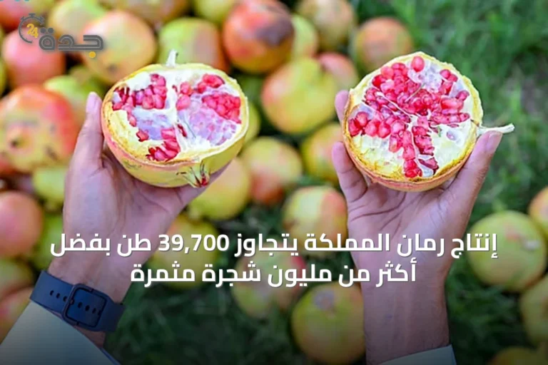 إنتاج رمان المملكة يتجاوز 39,700 طن بفضل أكثر من مليون شجرة مثمرة