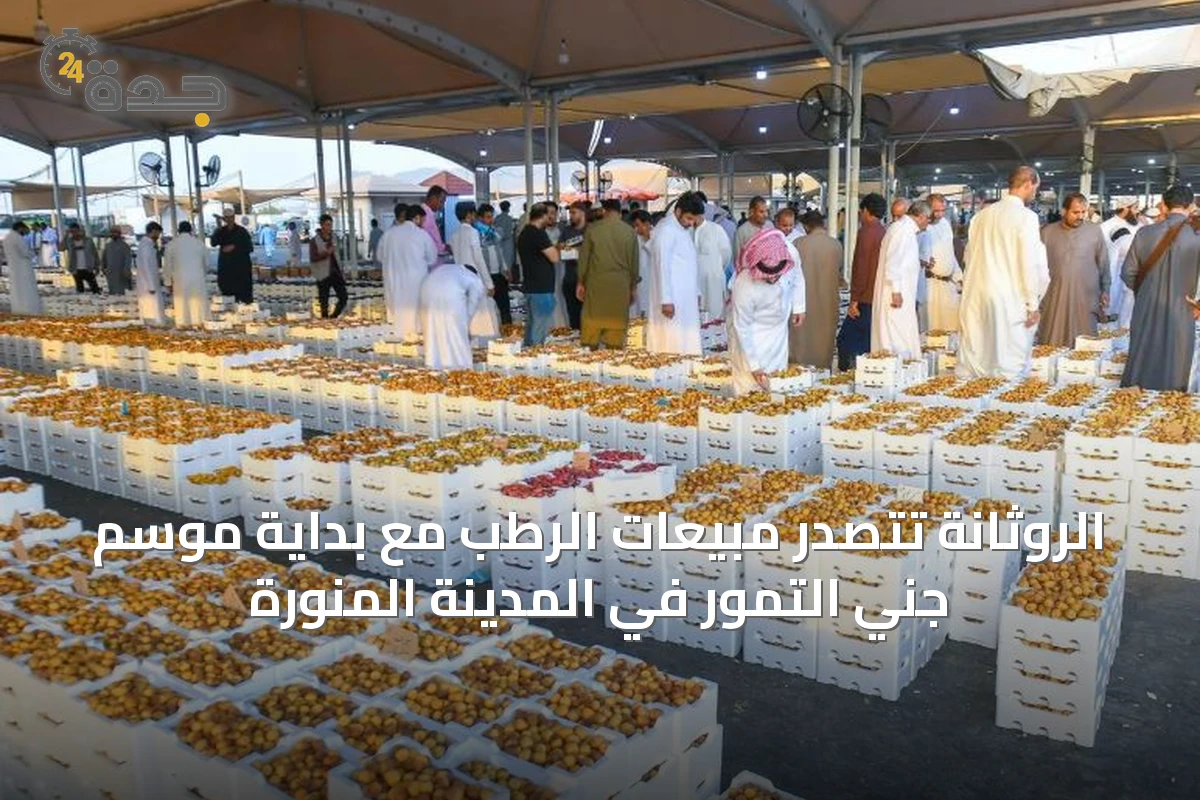 الروثانة تتصدر مبيعات الرطب مع بداية موسم جني التمور في المدينة المنورة