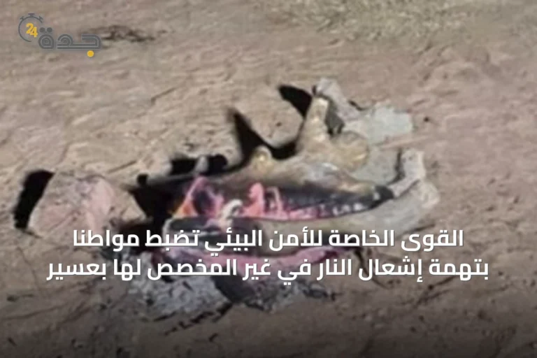 القوى الخاصة للأمن البيئي تضبط مواطنًا بتهمة إشعال النار في غير المخصص لها بعسير