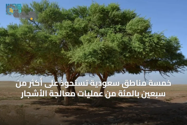 خمسة مناطق سعودية تستحوذ على أكثر من سبعين بالمئة من عمليات معالجة الأشجار