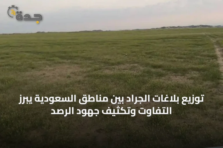 توزيع بلاغات الجراد بين مناطق السعودية يبرز التفاوت وتكثيف جهود الرصد