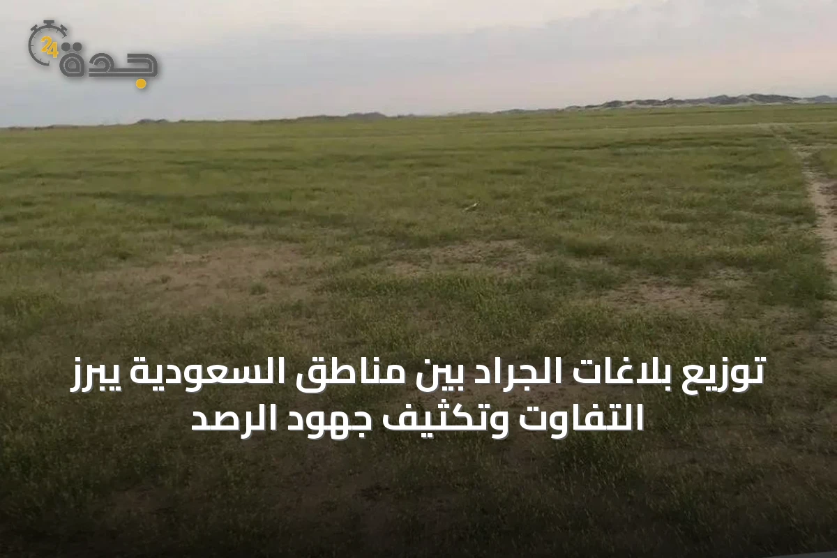 توزيع بلاغات الجراد بين مناطق السعودية يبرز التفاوت وتكثيف جهود الرصد