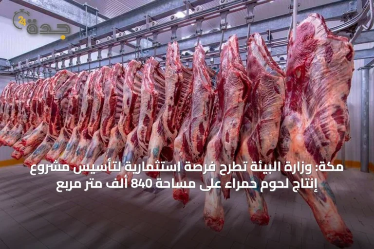 مكة: وزارة البيئة تطرح فرصة استثمارية لتأسيس مشروع إنتاج لحوم حمراء على مساحة 840 ألف متر مربع