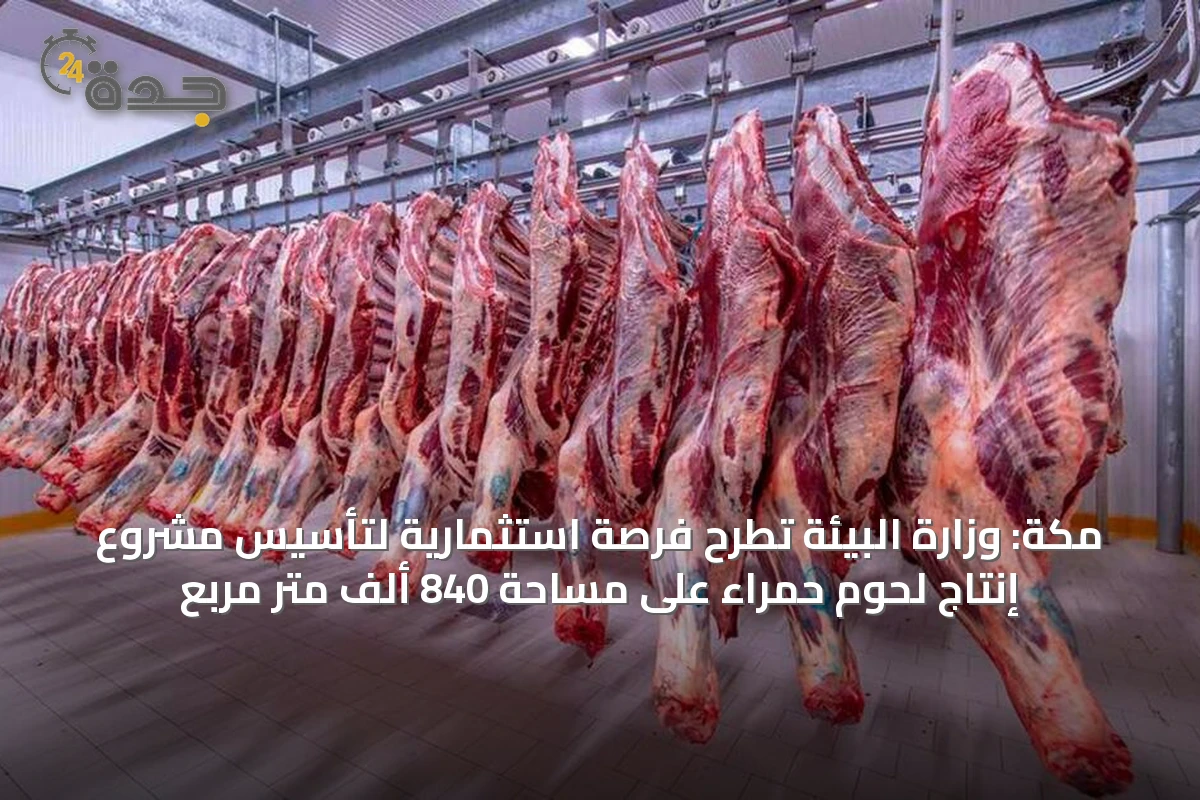مكة: وزارة البيئة تطرح فرصة استثمارية لتأسيس مشروع إنتاج لحوم حمراء على مساحة 840 ألف متر مربع