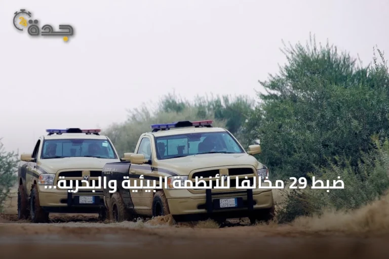 ضبط 29 مخالفاً للأنظمة البيئية والبحرية في مناطق متعددة من المملكة