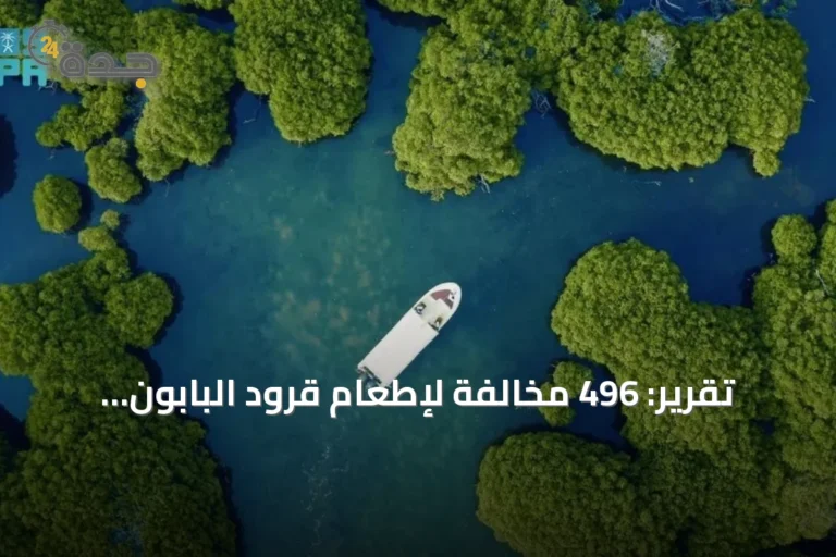تقرير: 496 مخالفة لإطعام قرود البابون وإنجازات في تنمية الحياة الفطرية
