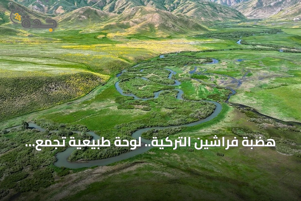 هضبة فراشين التركية.. لوحة طبيعية تجمع الثلوج والمروج في مشهد صيفي فريد