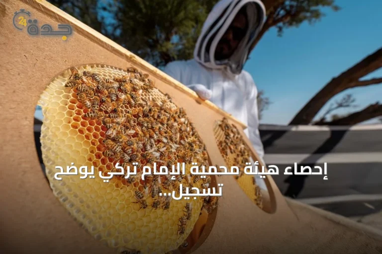 إحصاء هيئة محمية الإمام تركي يوضح تسجيل 11,439 خلية نحل في موسمي الطح والسدر