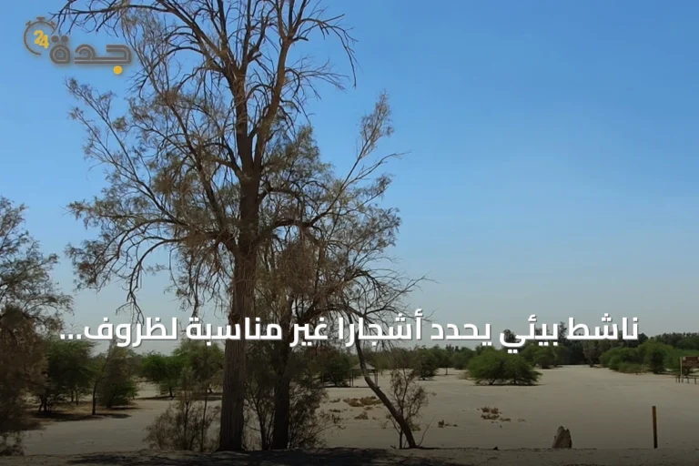 ناشط بيئي يحدد أشجاراً غير مناسبة لظروف الأحساء ويحذر من مخاطرها على البنية التحتية والبيئة