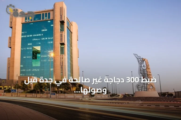 ضبط 300 دجاجة غير صالحة في جدة قبل وصولها إلى الأسواق