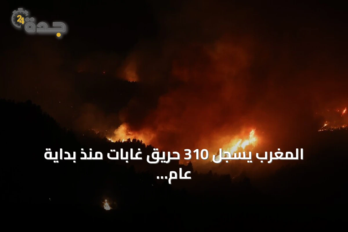 المغرب يسجل 310 حريق غابات منذ بداية عام 2026 مع تراجع المساحات المحروقة