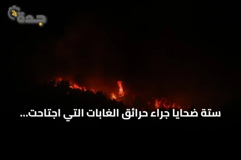 ستة ضحايا جراء حرائق الغابات التي اجتاحت شمال الجزائر